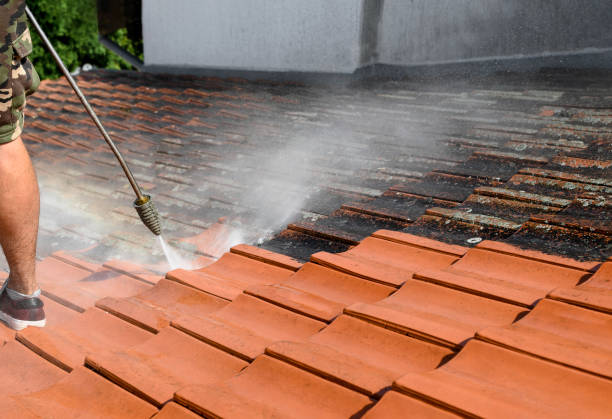 Roof Power Washing Services in East Alton, IL