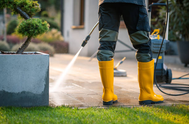 Best Local Pressure Washing Services  in East Alton, IL